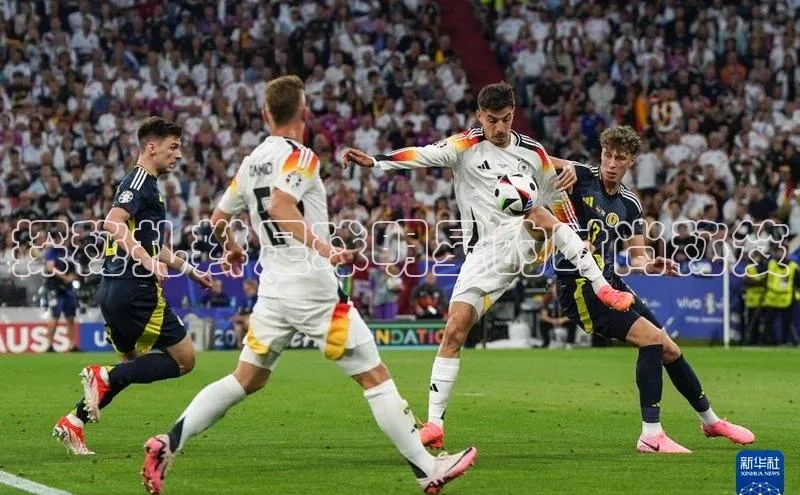 6688体育app官方网站百度翻译App探秘扎辫足球明星的时尚秘笈