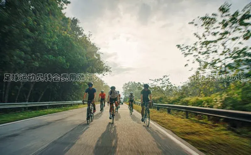 6688体育线上登录百度手机输入法足球运动员转会费用涨幅分析：究竟要付多少钱才能引进顶级球员？