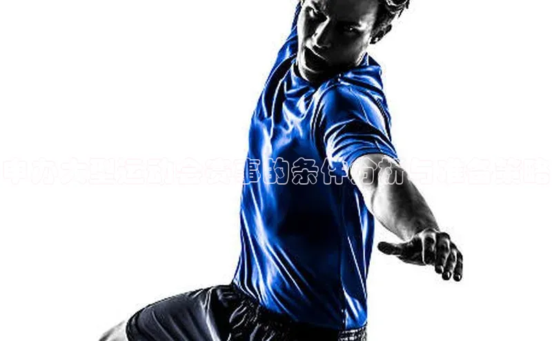 6688官方网站入口登录最新版福石控股申办大型运动会赛事的条件分析与准备策略