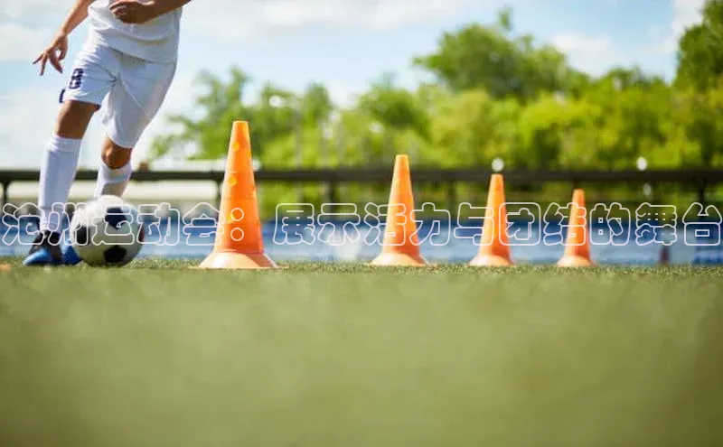 6688网址登录巴美列捷福沧州运动会：展示活力与团结的舞台