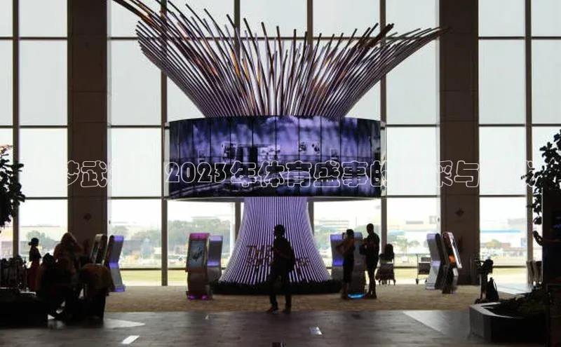 6688体育app的发展历程百度数据开放平台逐梦武汉：2023年体育盛事的风采与挑战