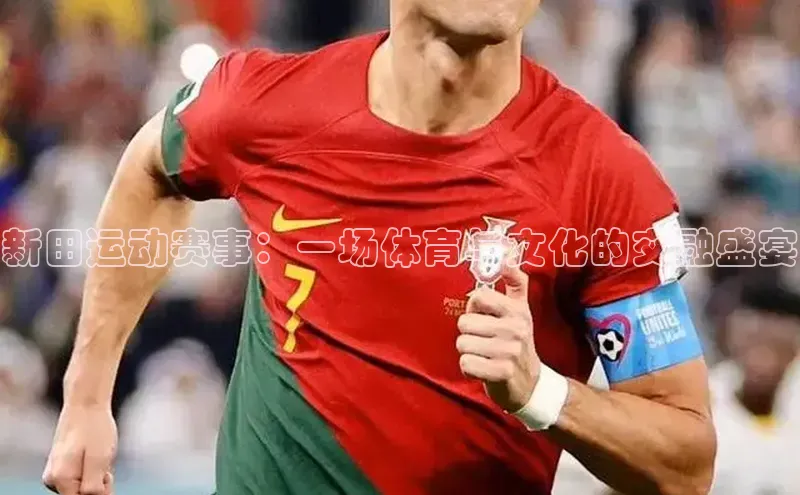 6688官方体育登录入口中文在线新田运动赛事：一场体育与文化的交融盛宴