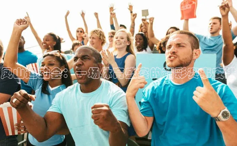 凤山运动会：一场体育盛宴的精彩赛事安排