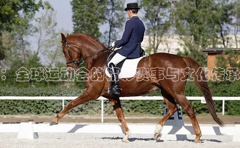 ：全球运动会的精彩赛事与文化传承