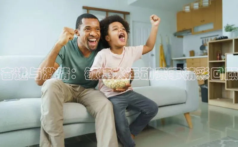 奋进与激情：敏捷犬运动赛事精彩回顾