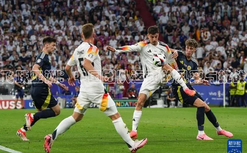 飞跃亚洲：中国团队运动的风采与挑战