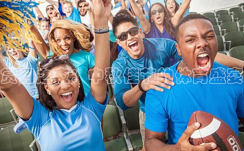 赏月之夜：中秋佳节的体育盛宴