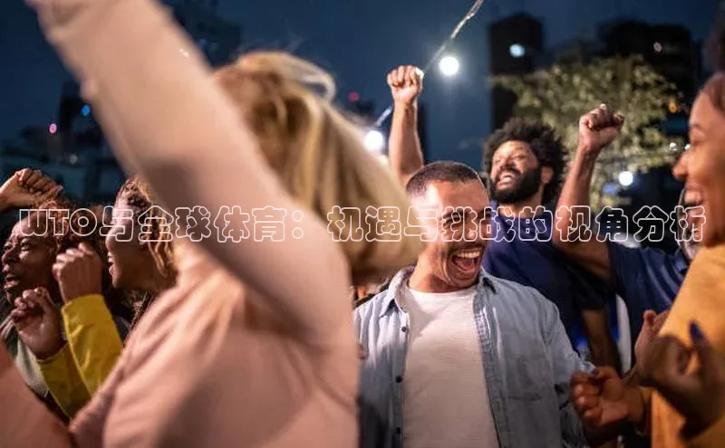 WTO与全球体育：机遇与挑战的视角分析