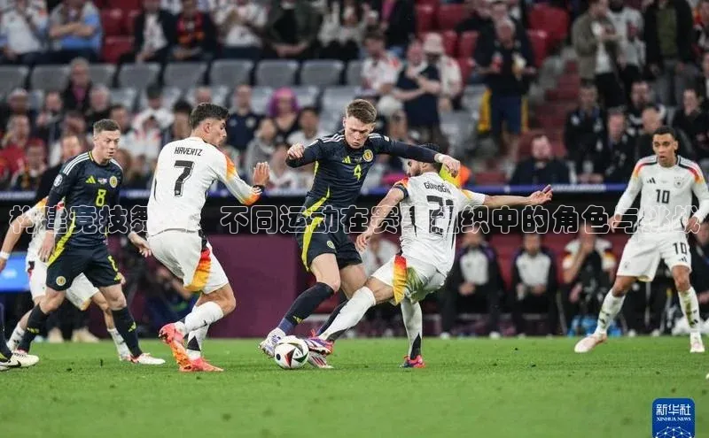 构建竞技舞台：不同运动在赛事组织中的角色与挑战