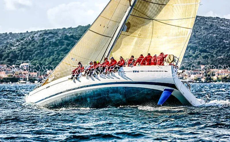 全球对决：国际搏击赛事的魅力与挑战