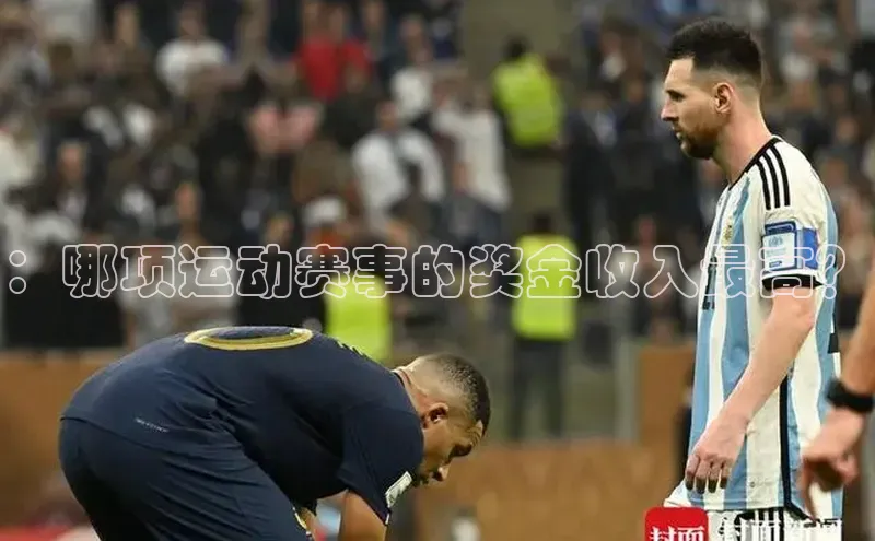 ：哪项运动赛事的奖金收入最高？