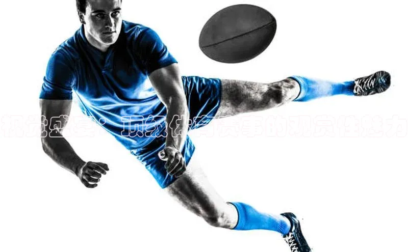 视觉盛宴：顶级体育赛事的观赏性魅力