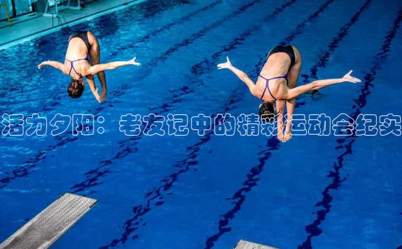 活力夕阳：老友记中的精彩运动会纪实