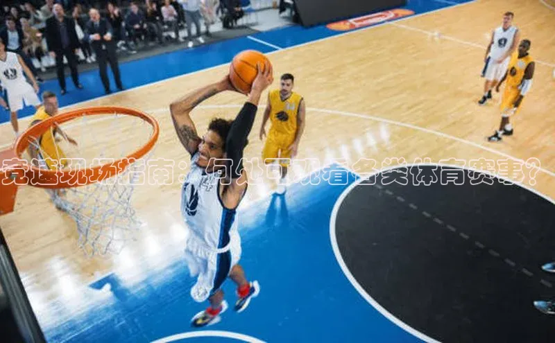 竞速现场指南：何处可观看各类体育赛事？