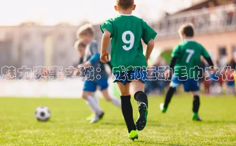 魅力赛事之城：成都运动毛巾文化