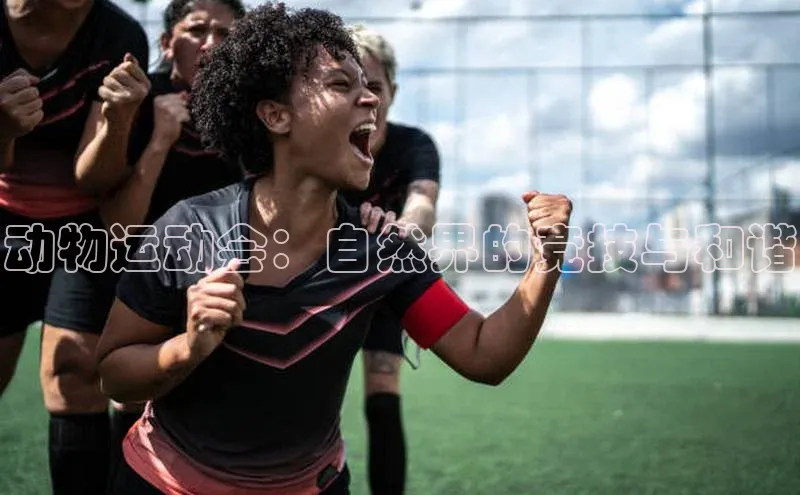 动物运动会：自然界的竞技与和谐