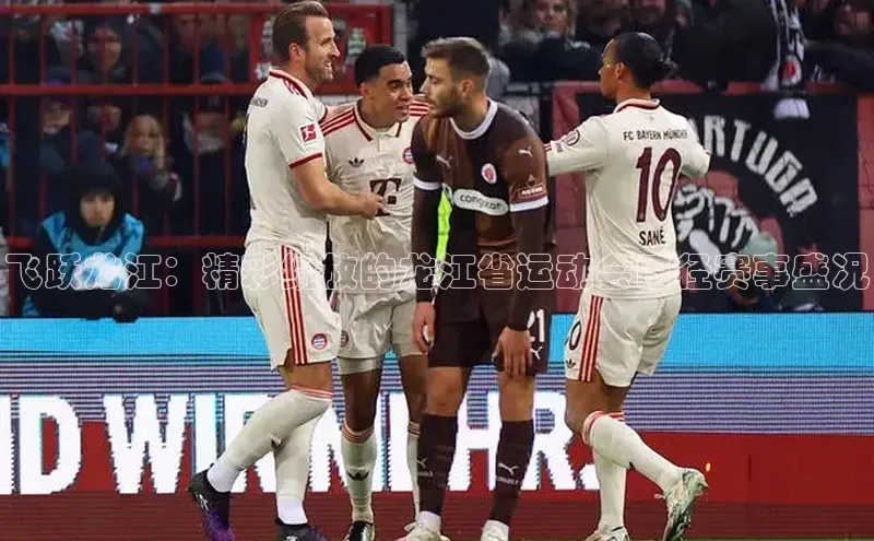 飞跃龙江：精彩绽放的龙江省运动会田径赛事盛况