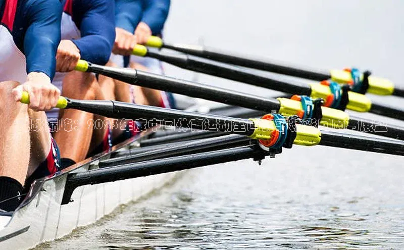飞跃巅峰：2023年度中国体育运动全国赛事精彩回顾与展望