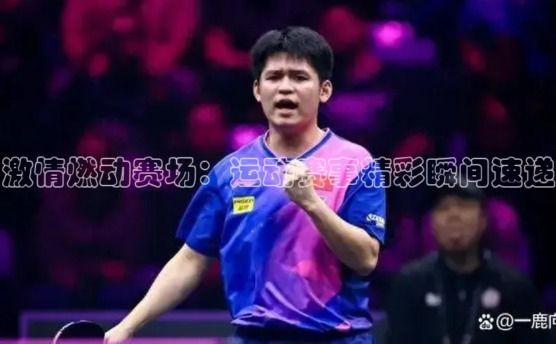 激情燃动赛场：运动赛事精彩瞬间速递