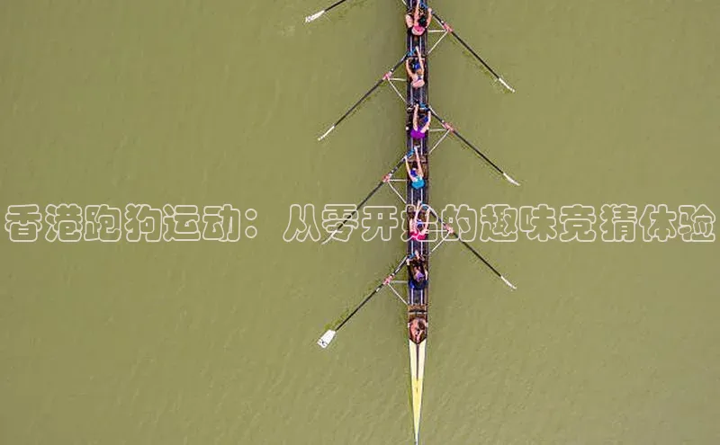 6688体育app登录注册