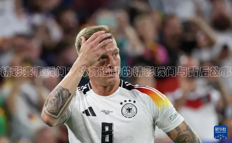 6688体育官网入口网址