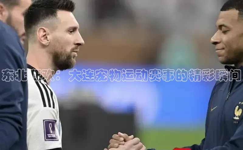 东北狂欢：大连宠物运动赛事的精彩瞬间