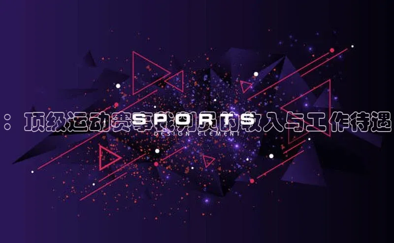 ：顶级运动赛事裁判员的收入与工作待遇