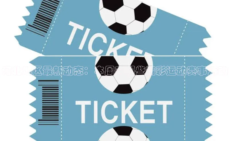 河北地区最新动态：本周有哪些精彩运动赛事活动